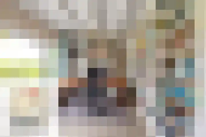 Zeedijk 1 Oudenhoorn thumbnail 9