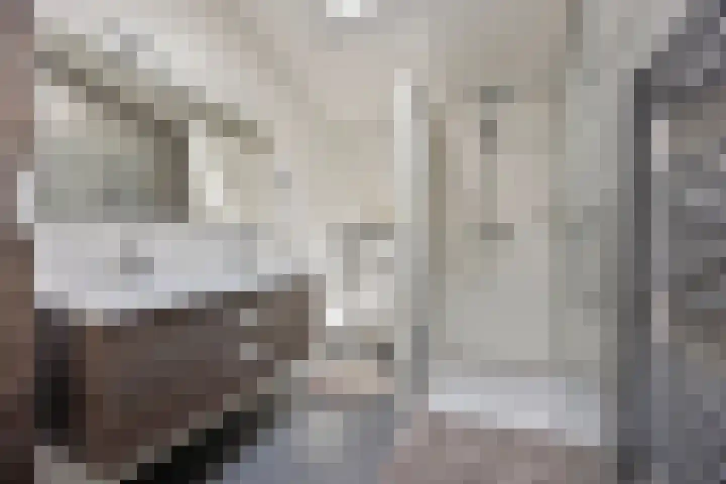 Zeedijk 18 Stad aan 't Haringvliet thumbnail 19