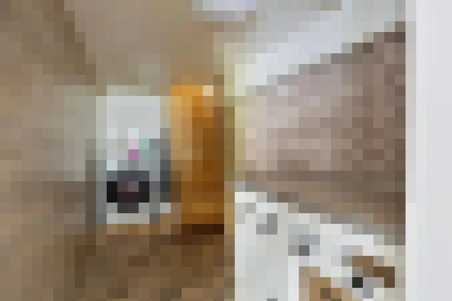 Zeedijk 18 Stad aan 't Haringvliet thumbnail 21