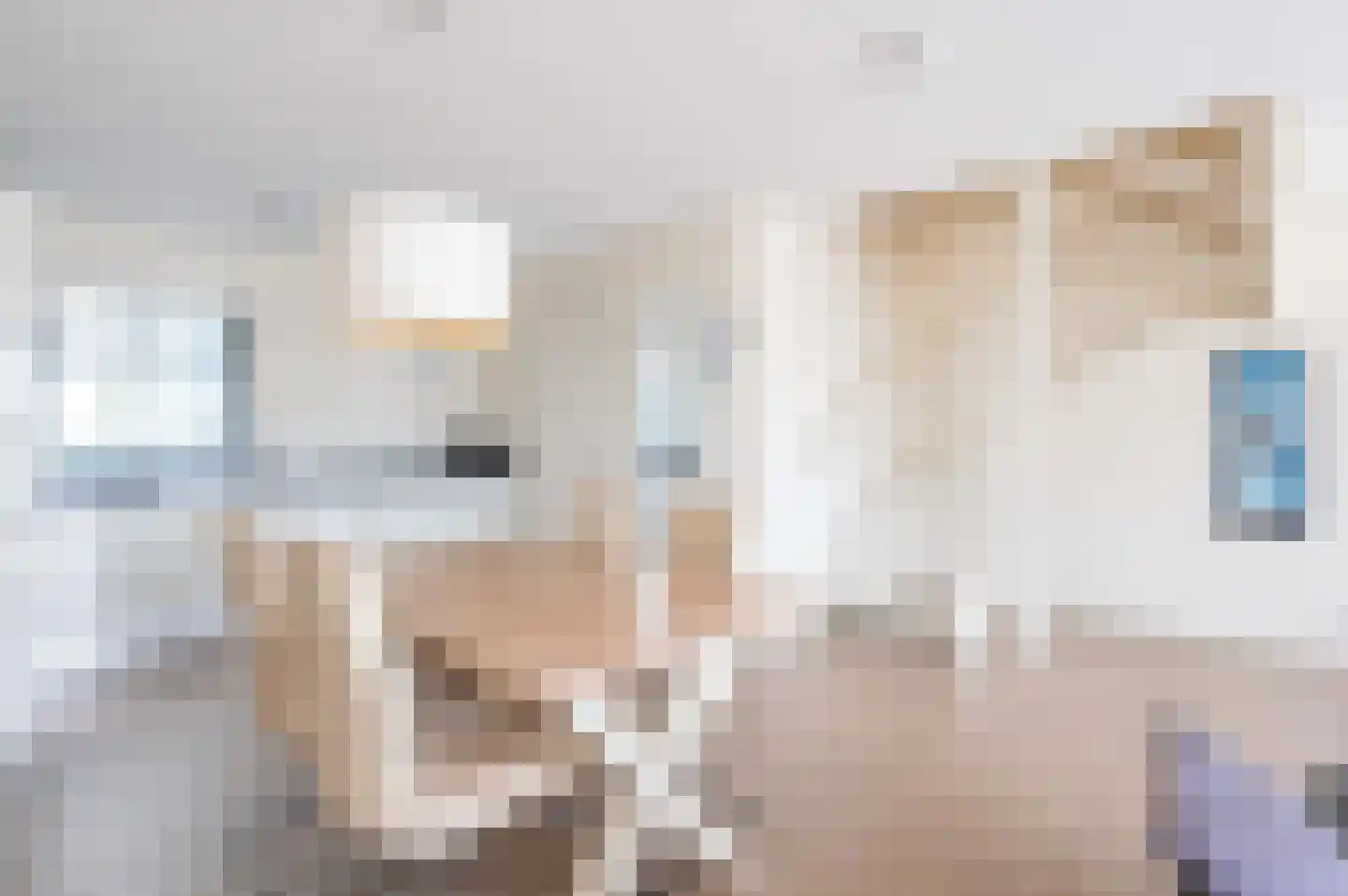Zeedijk 2 204 Uitdam thumbnail 7