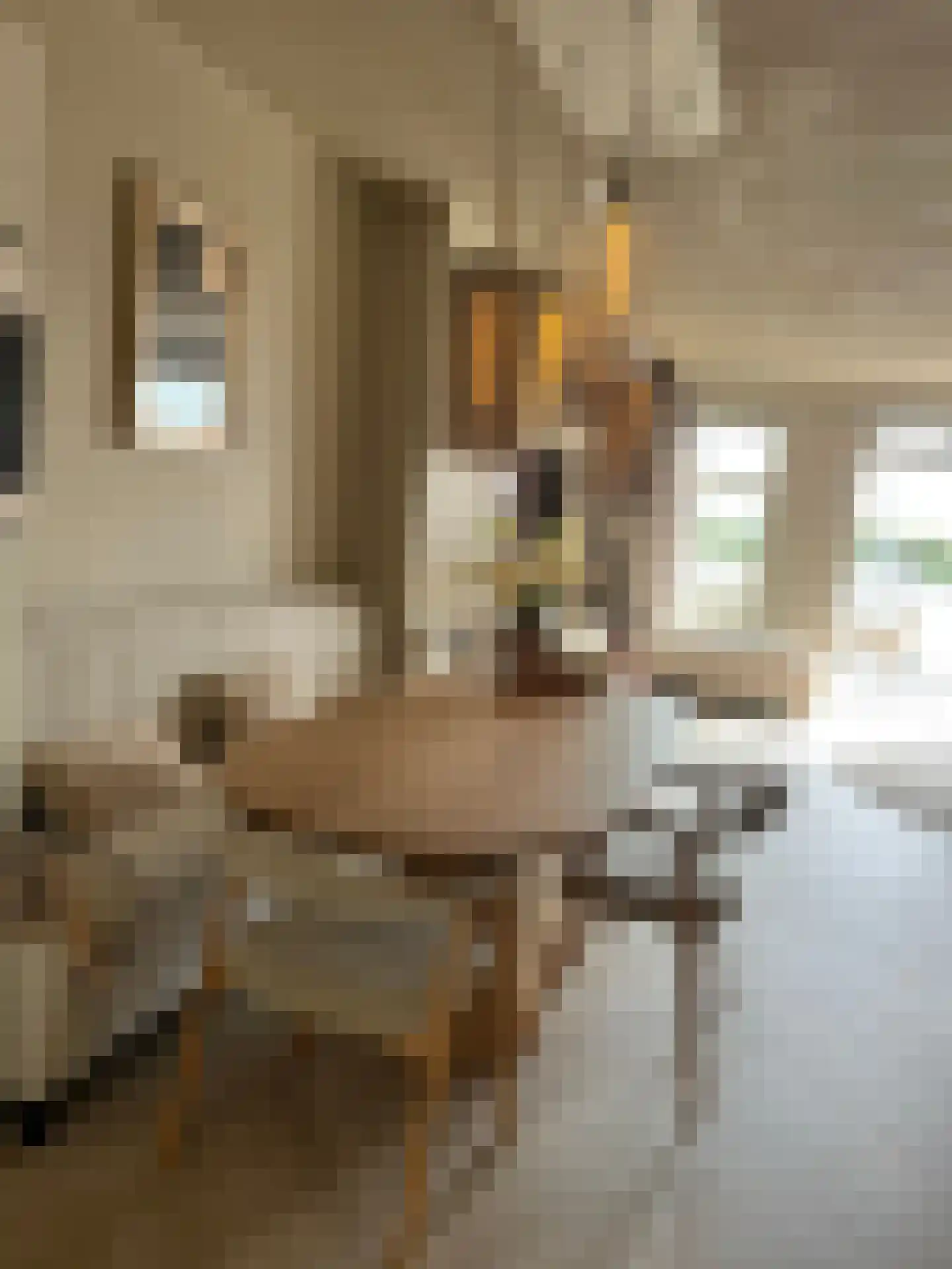 Zeedijk 2 206 Uitdam thumbnail 12