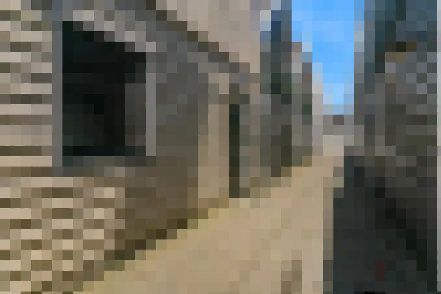 Zeedijk 2 210 Uitdam thumbnail 28