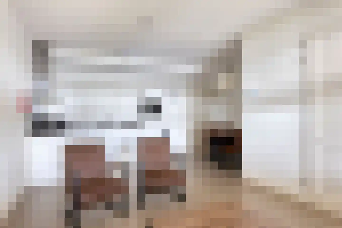 Zeedijk 2 211 Uitdam thumbnail 10