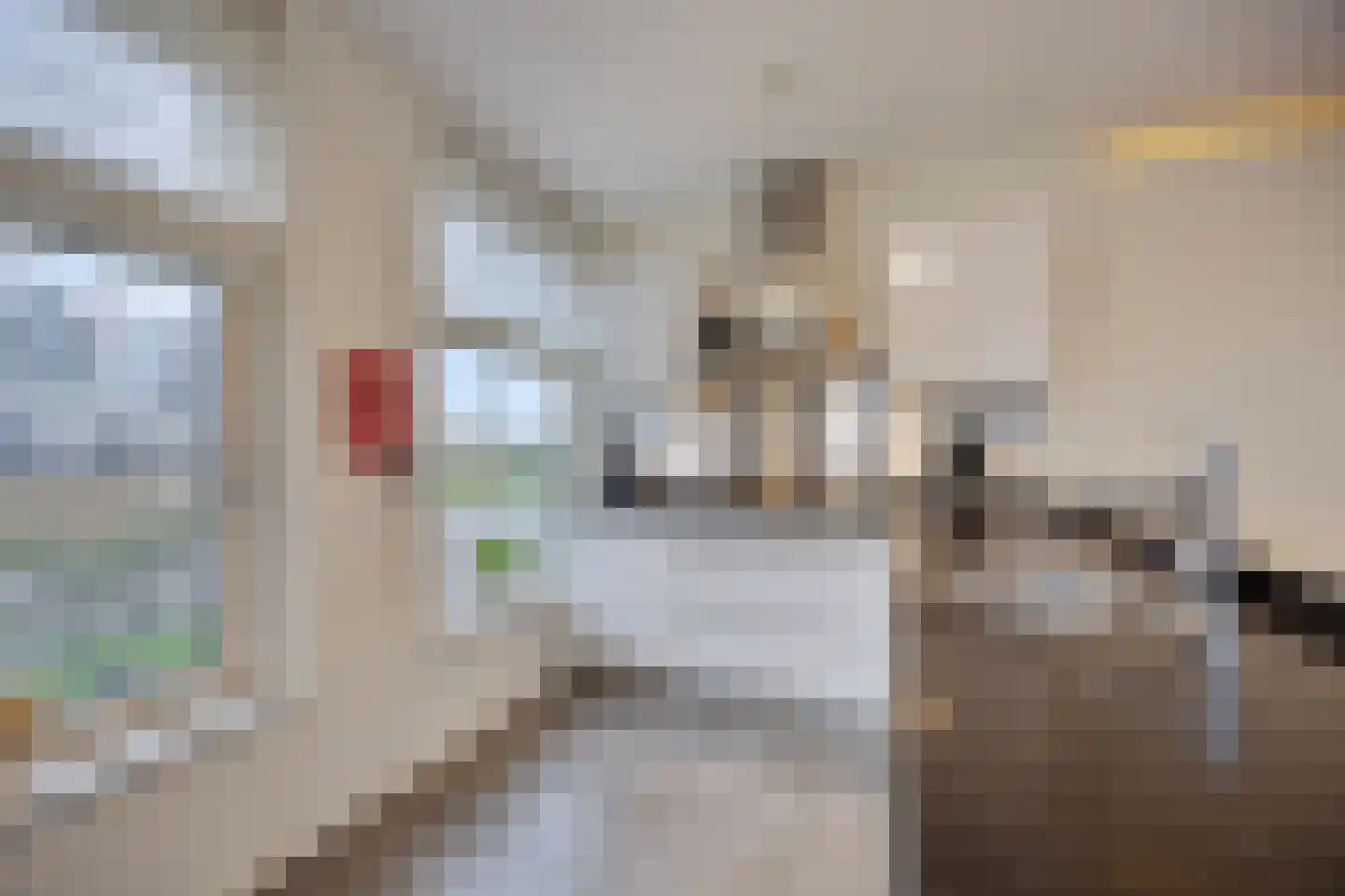 Zeedijk 2 371 Uitdam thumbnail 18