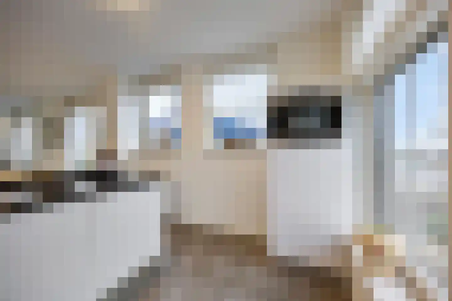 Zeedijk 2 371 Uitdam thumbnail 19
