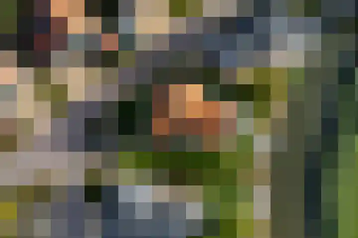 Zeedijk 2 430 Uitdam thumbnail 11