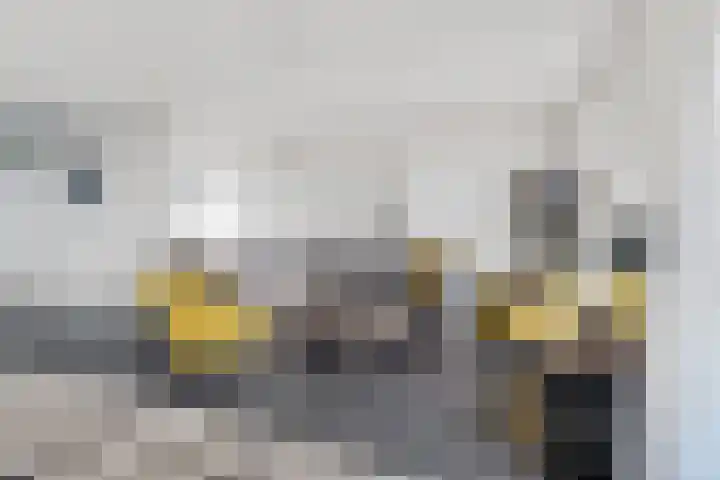 Zeedijk 2 430 Uitdam thumbnail 28