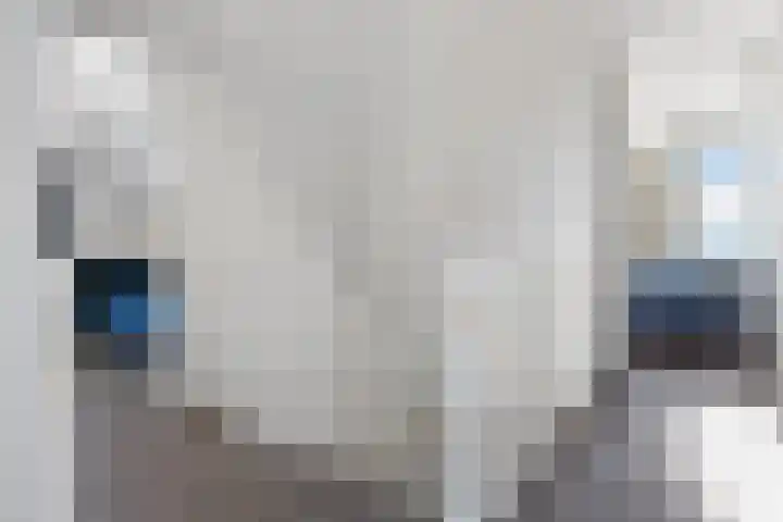 Zeedijk 2 430 Uitdam thumbnail 42