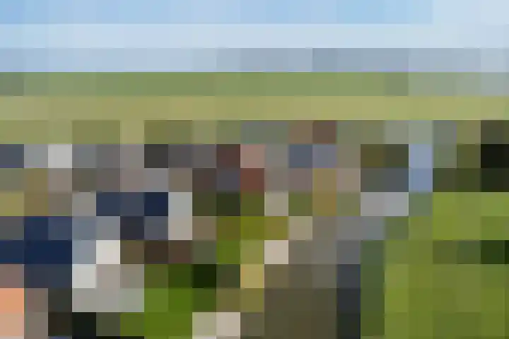 Zeedijk 2 430 Uitdam thumbnail 59