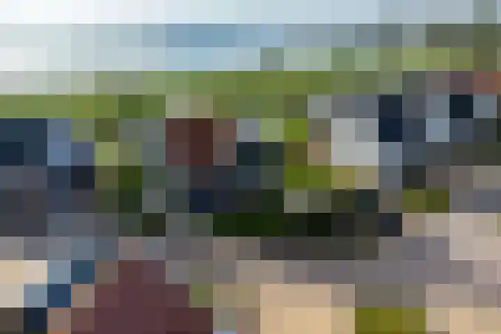Zeedijk 2 430 Uitdam thumbnail 61