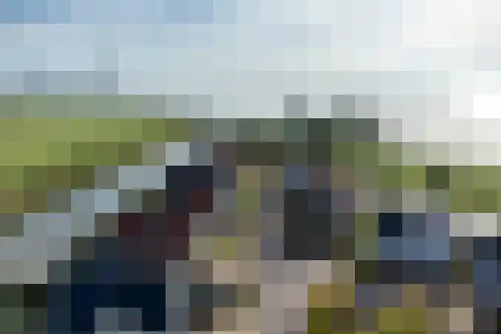 Zeedijk 2 430 Uitdam thumbnail 63