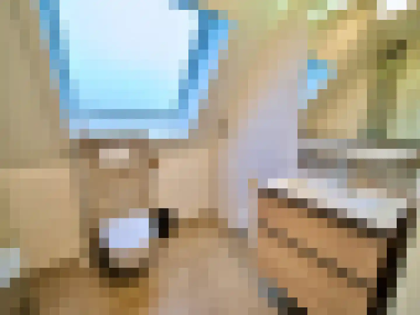 Zeedijk 2 438 Uitdam thumbnail 17