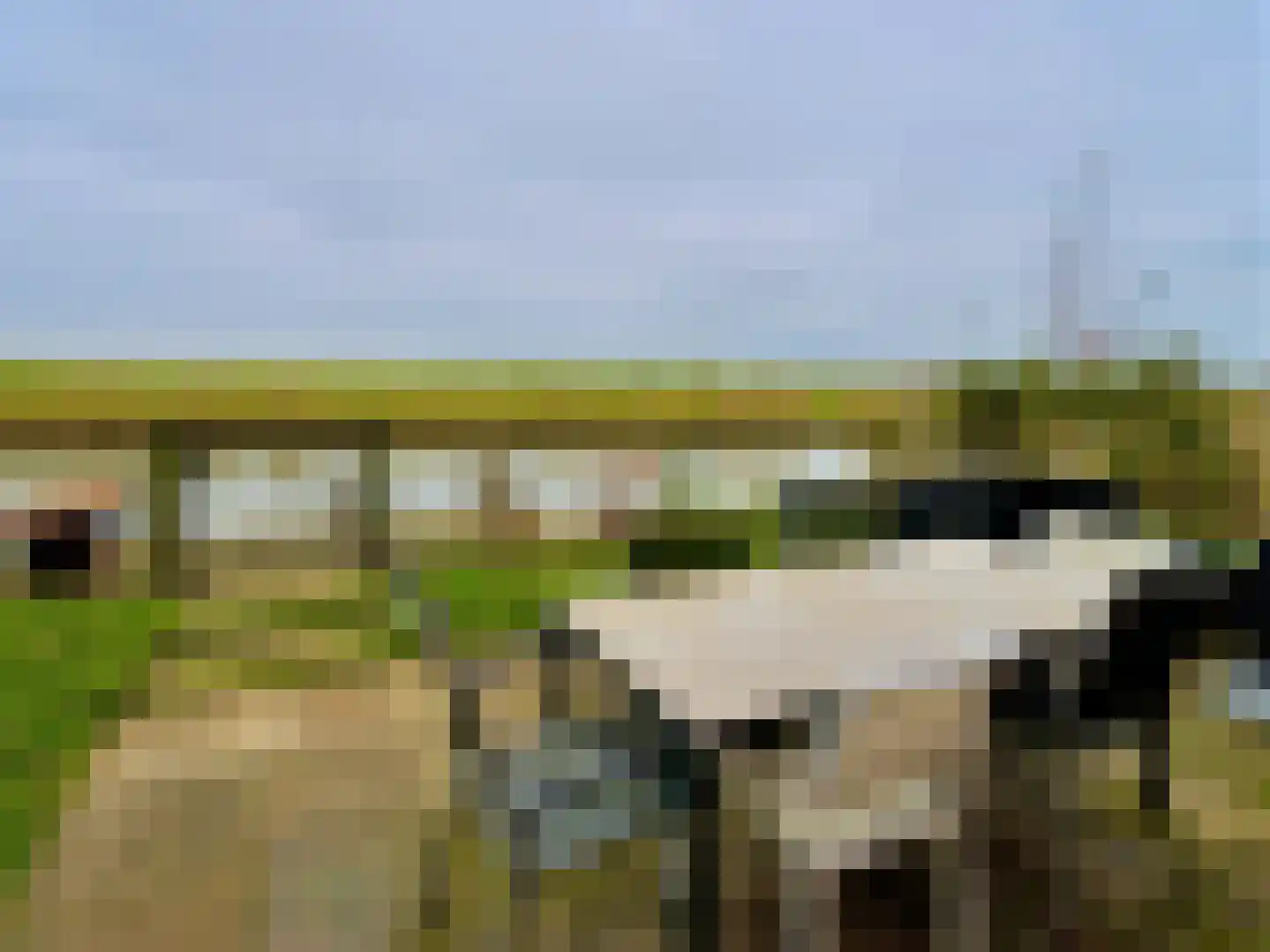 Zeedijk 2 438 Uitdam thumbnail 20