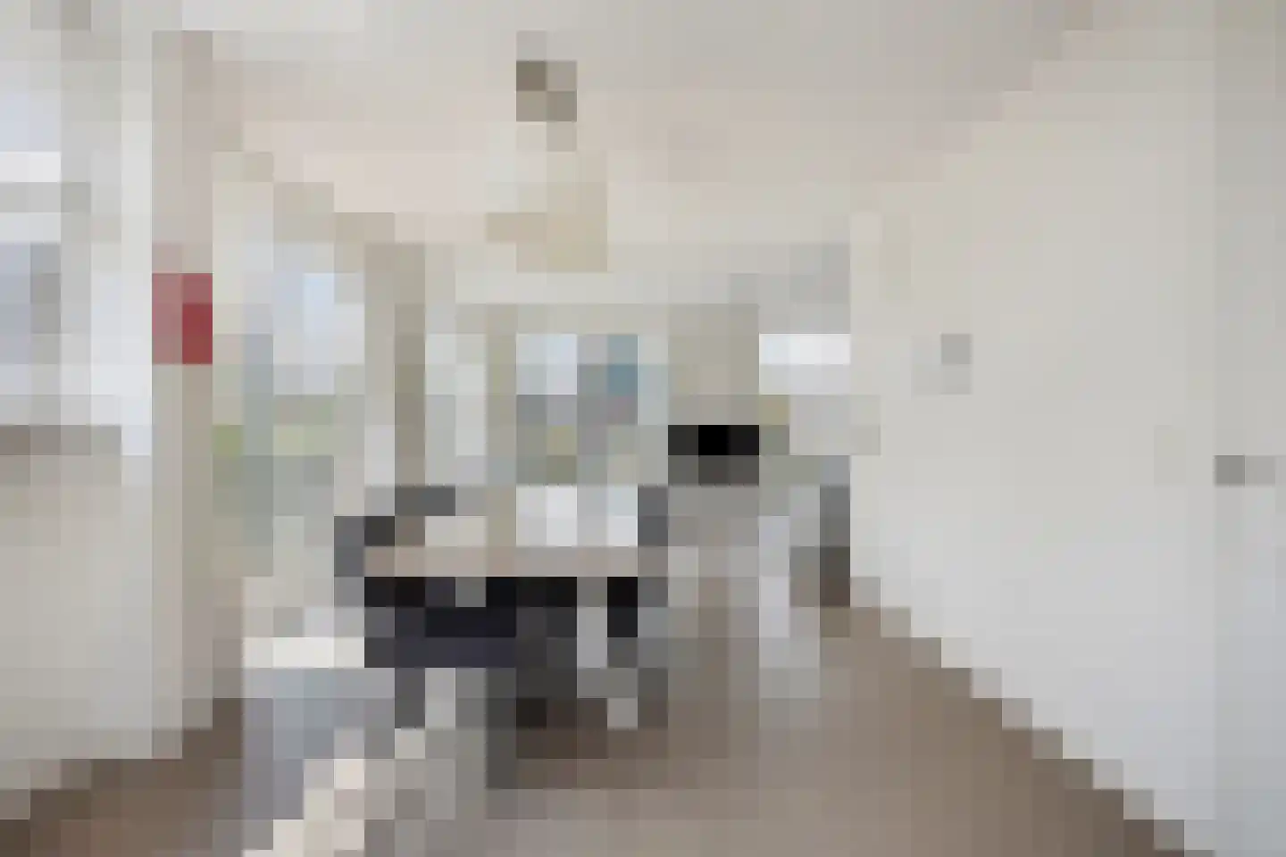 Zeedijk 2 535 Uitdam thumbnail 11