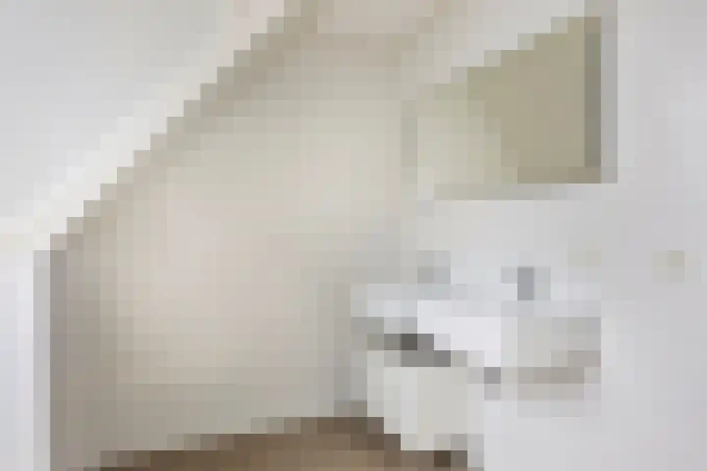 Zeedijk 2 535 Uitdam thumbnail 22