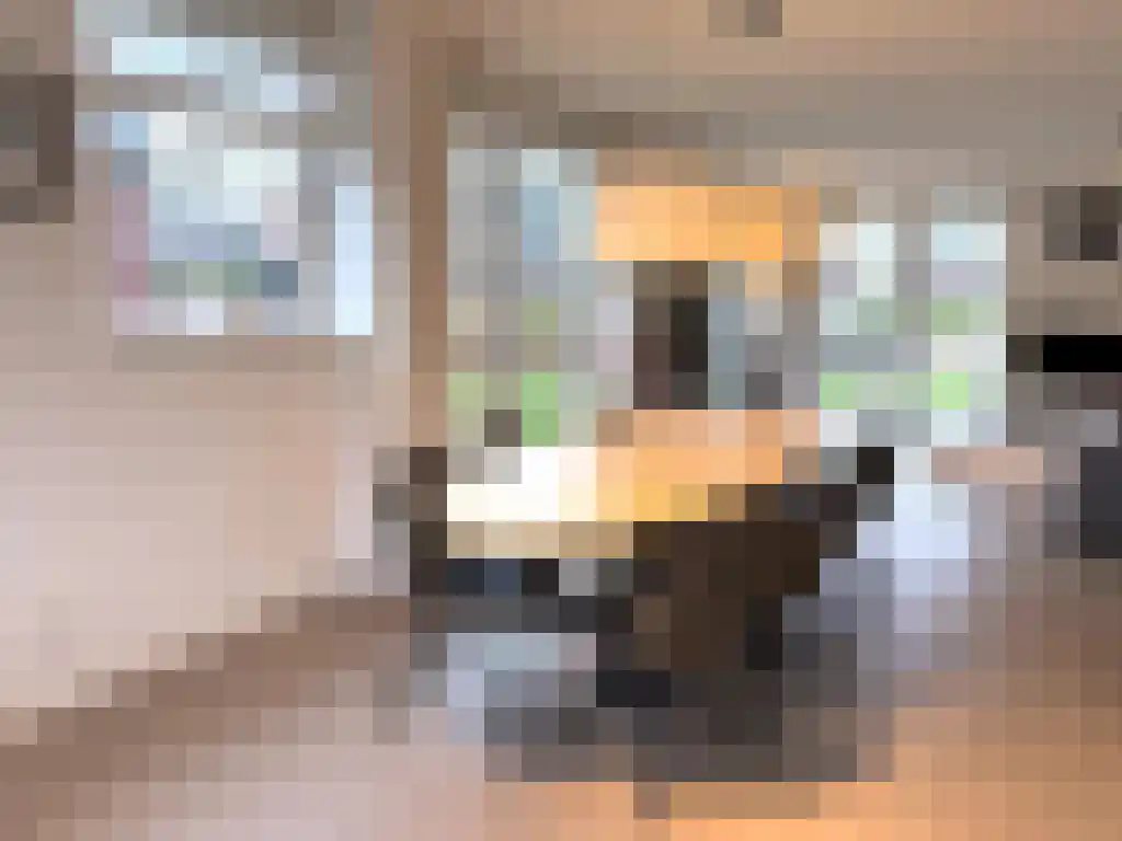 Zeedijk 2 541 Uitdam thumbnail 13