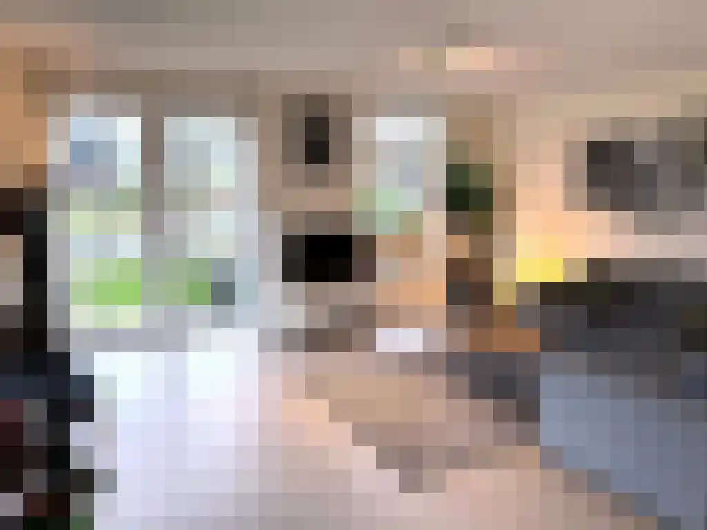 Zeedijk 2 541 Uitdam thumbnail 14