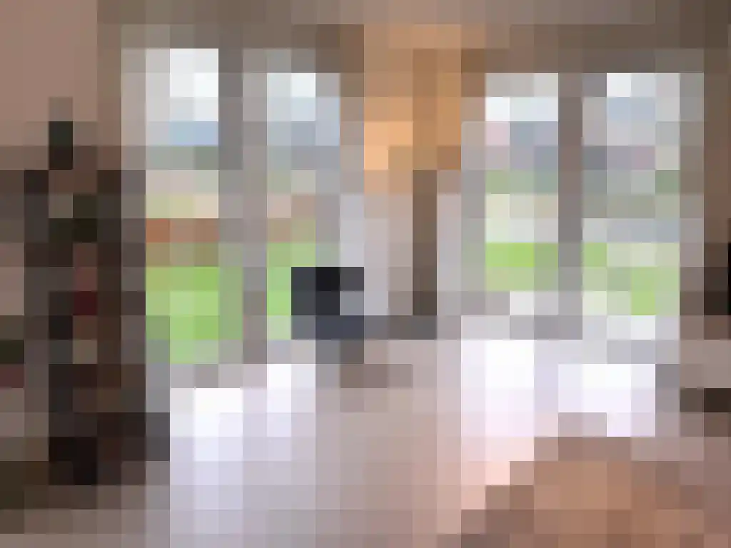 Zeedijk 2 541 Uitdam thumbnail 16