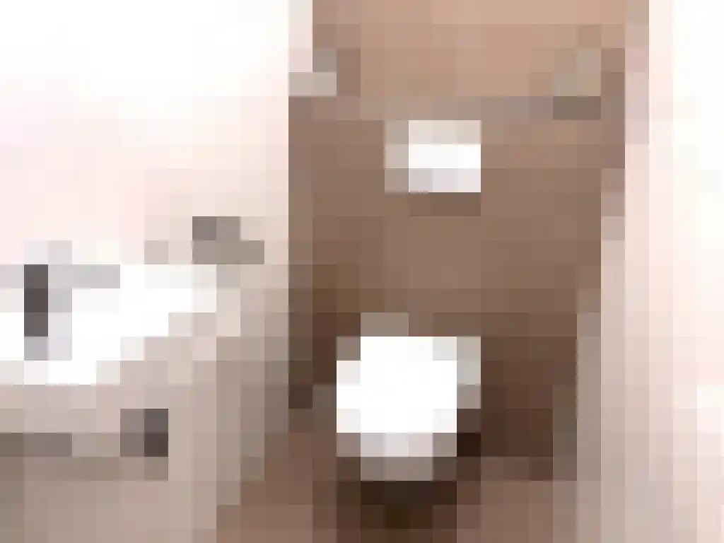 Zeedijk 2 541 Uitdam thumbnail 22
