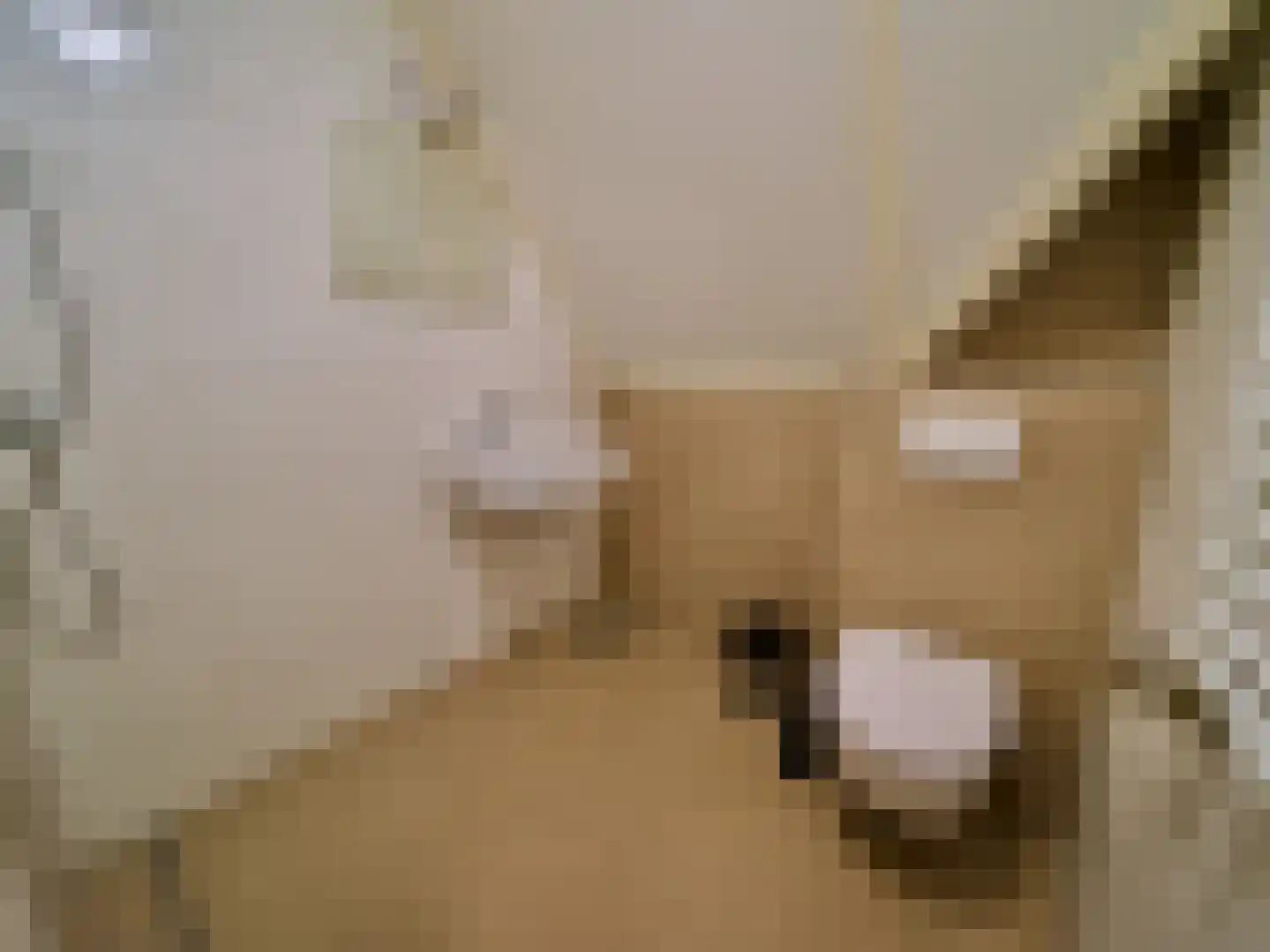 Zeedijk 2 543 Uitdam thumbnail 16