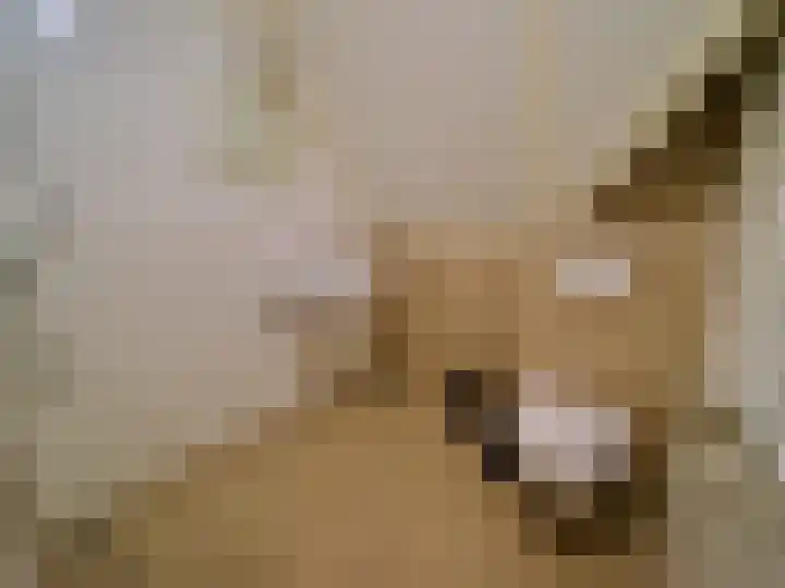 Zeedijk 2 543 Uitdam thumbnail 16