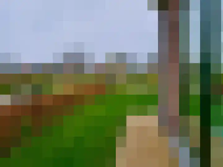 Zeedijk 2 543 Uitdam thumbnail 17