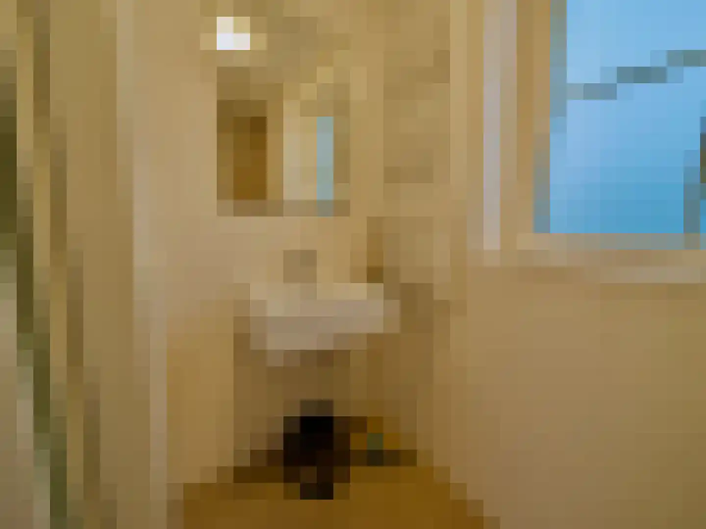 Zeedijk 2 543 Uitdam thumbnail 7