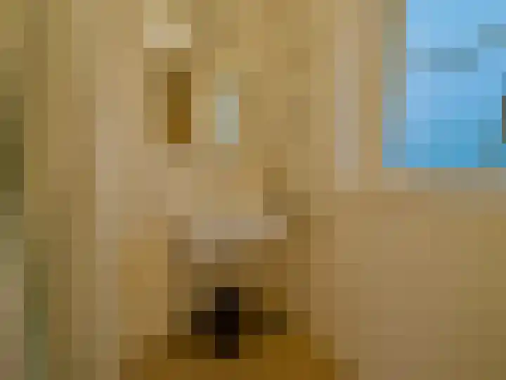Zeedijk 2 543 Uitdam thumbnail 7