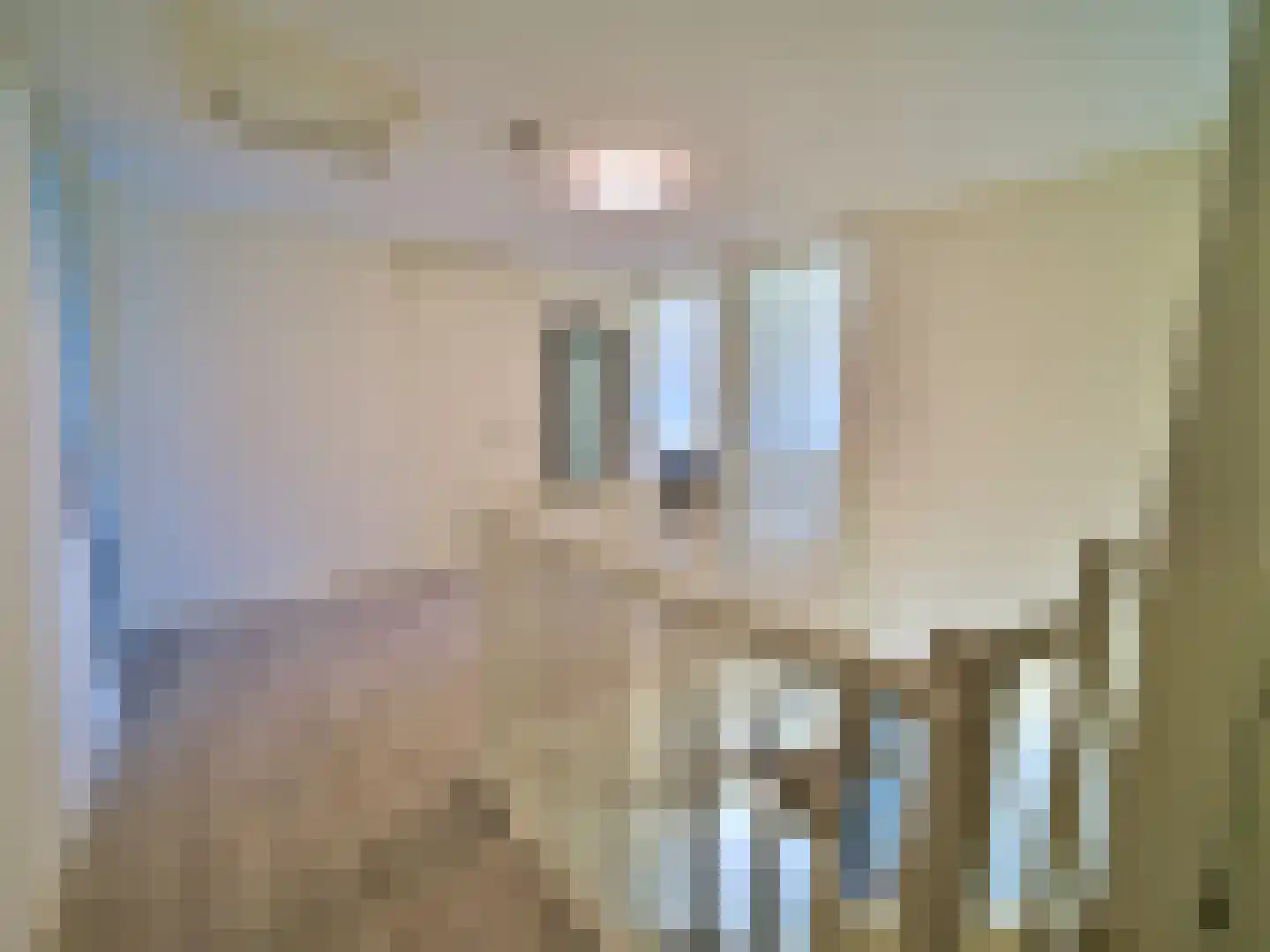 Zeedijk 2 601 Uitdam thumbnail 13