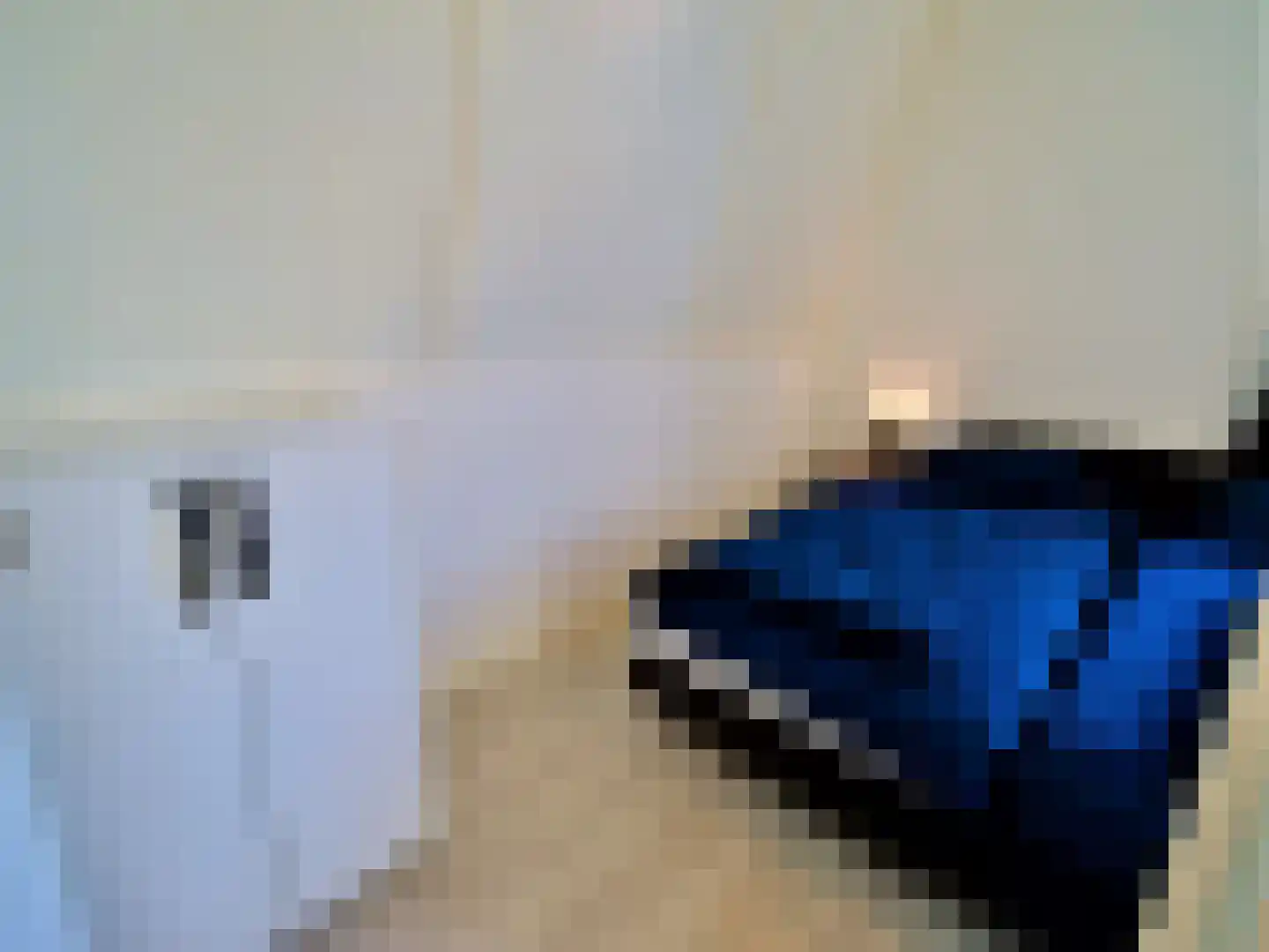 Zeedijk 2 601 Uitdam thumbnail 15
