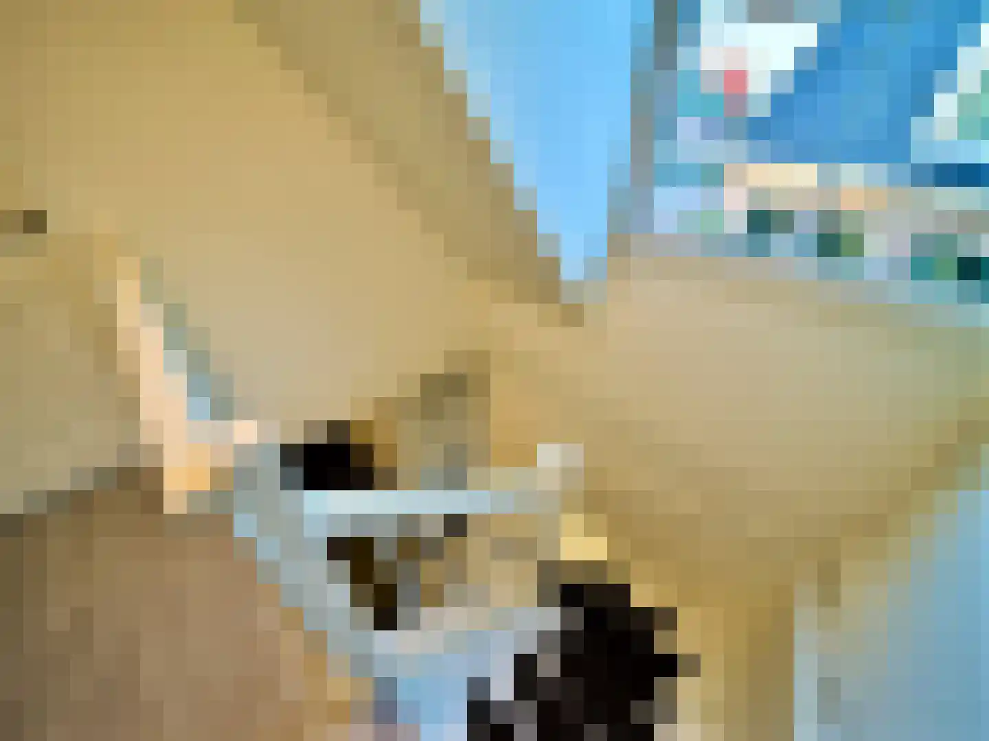 Zeedijk 2 613 Uitdam thumbnail 11