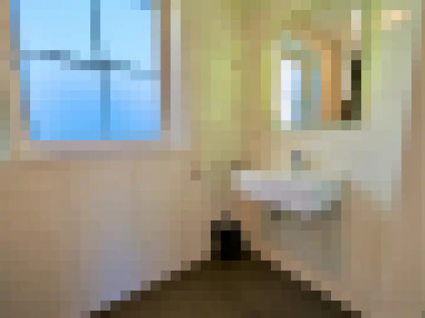Zeedijk 2 613 Uitdam thumbnail 9