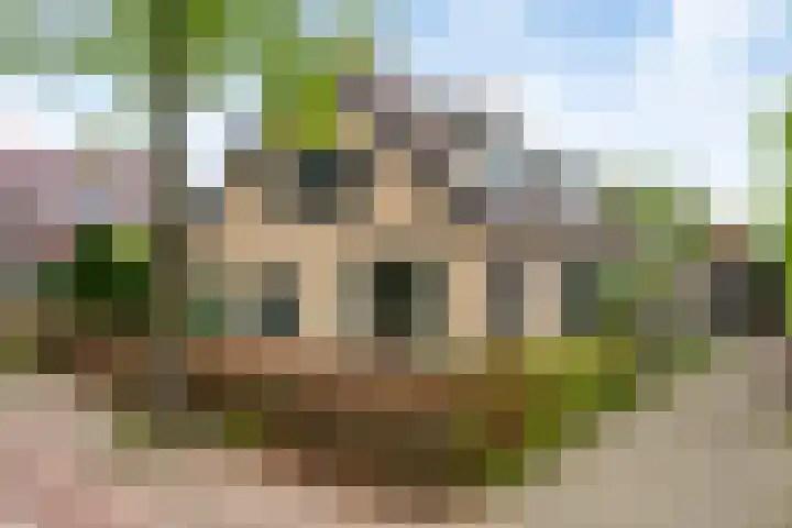 Zeedijk 2 617 Uitdam thumbnail 15