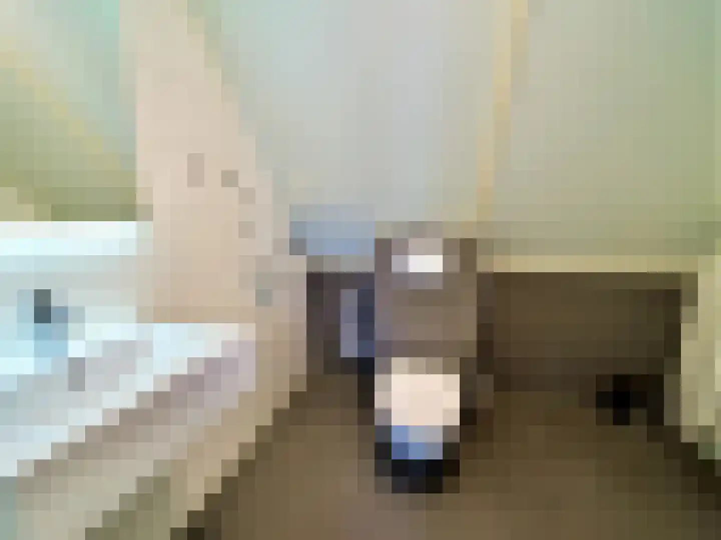 Zeedijk 2 631 Uitdam thumbnail 13