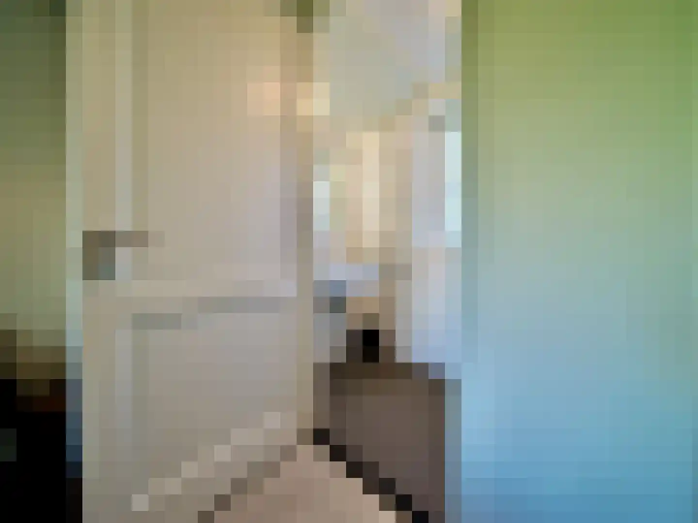 Zeedijk 2 631 Uitdam thumbnail 8
