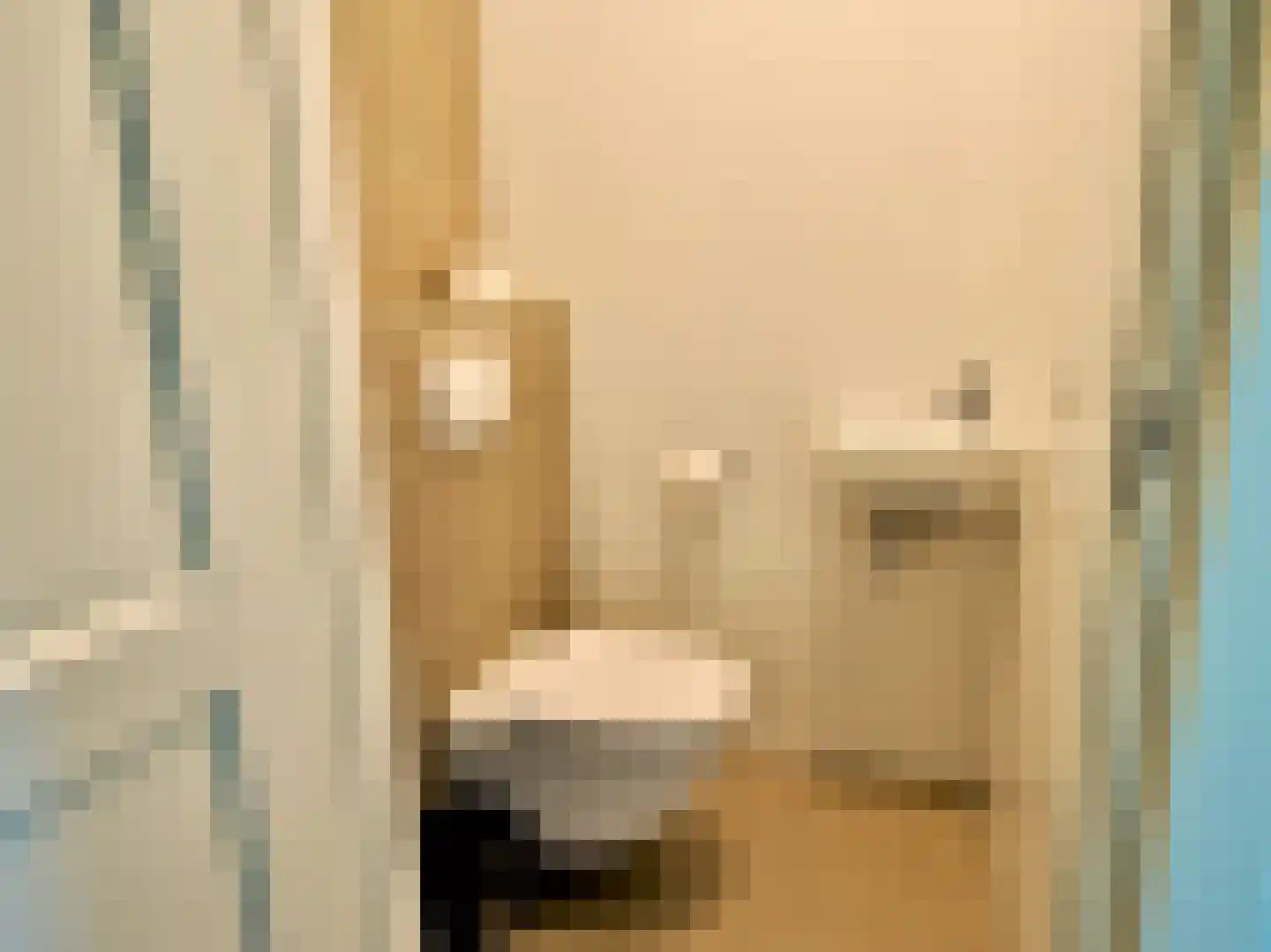 Zeedijk 2 643 Uitdam thumbnail 15
