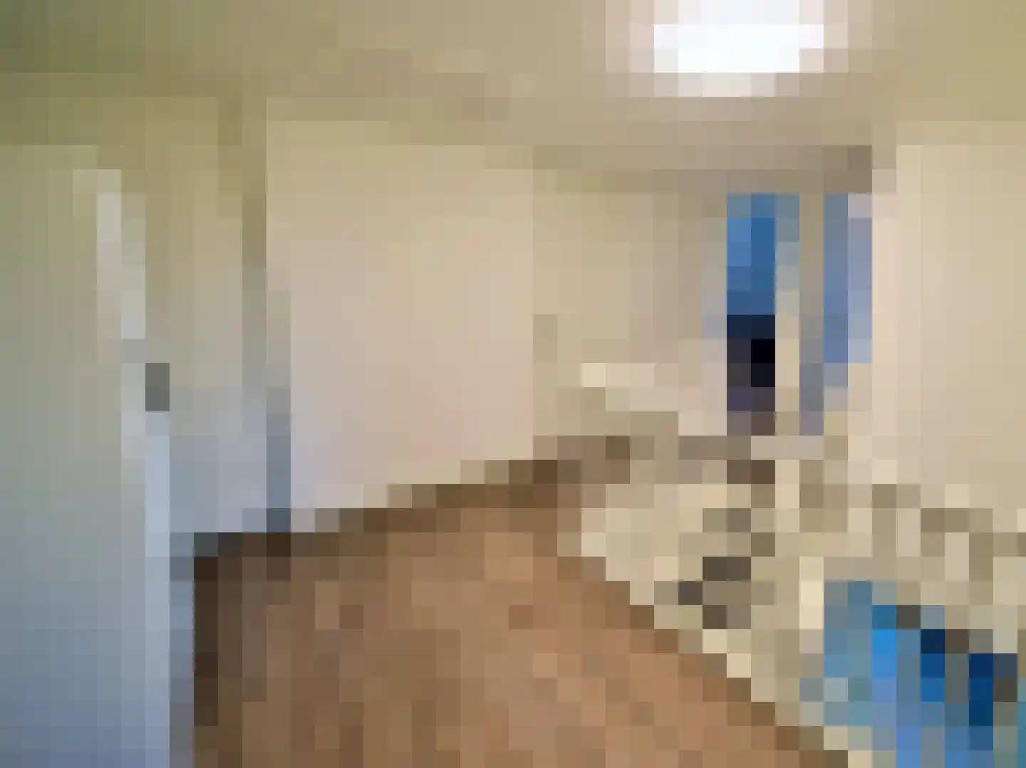 Zeedijk 2 643 Uitdam thumbnail 16