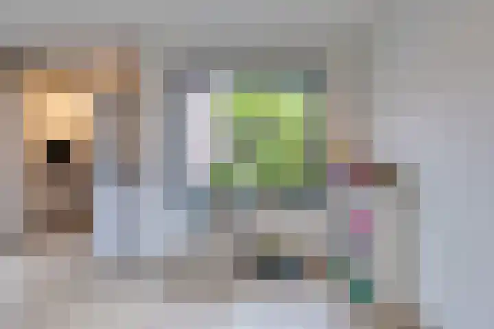 Zeedijk 21 Haaksbergen thumbnail 22