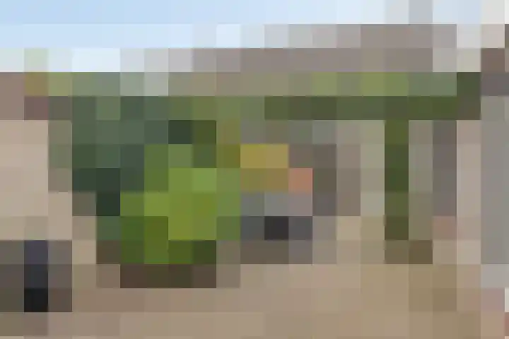 Zeedijk 21 Haaksbergen thumbnail 29