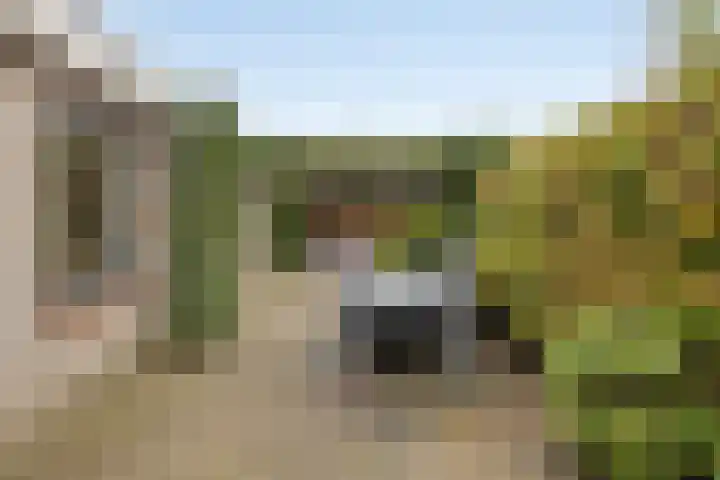 Zeedijk 21 Haaksbergen thumbnail 30