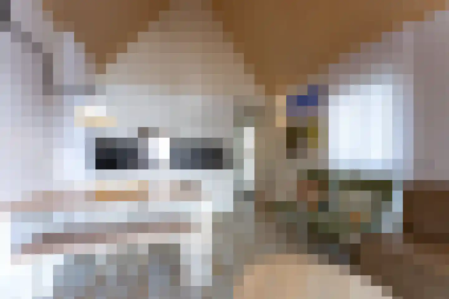 Zeedijk 24 009 Nieuwvliet thumbnail 11