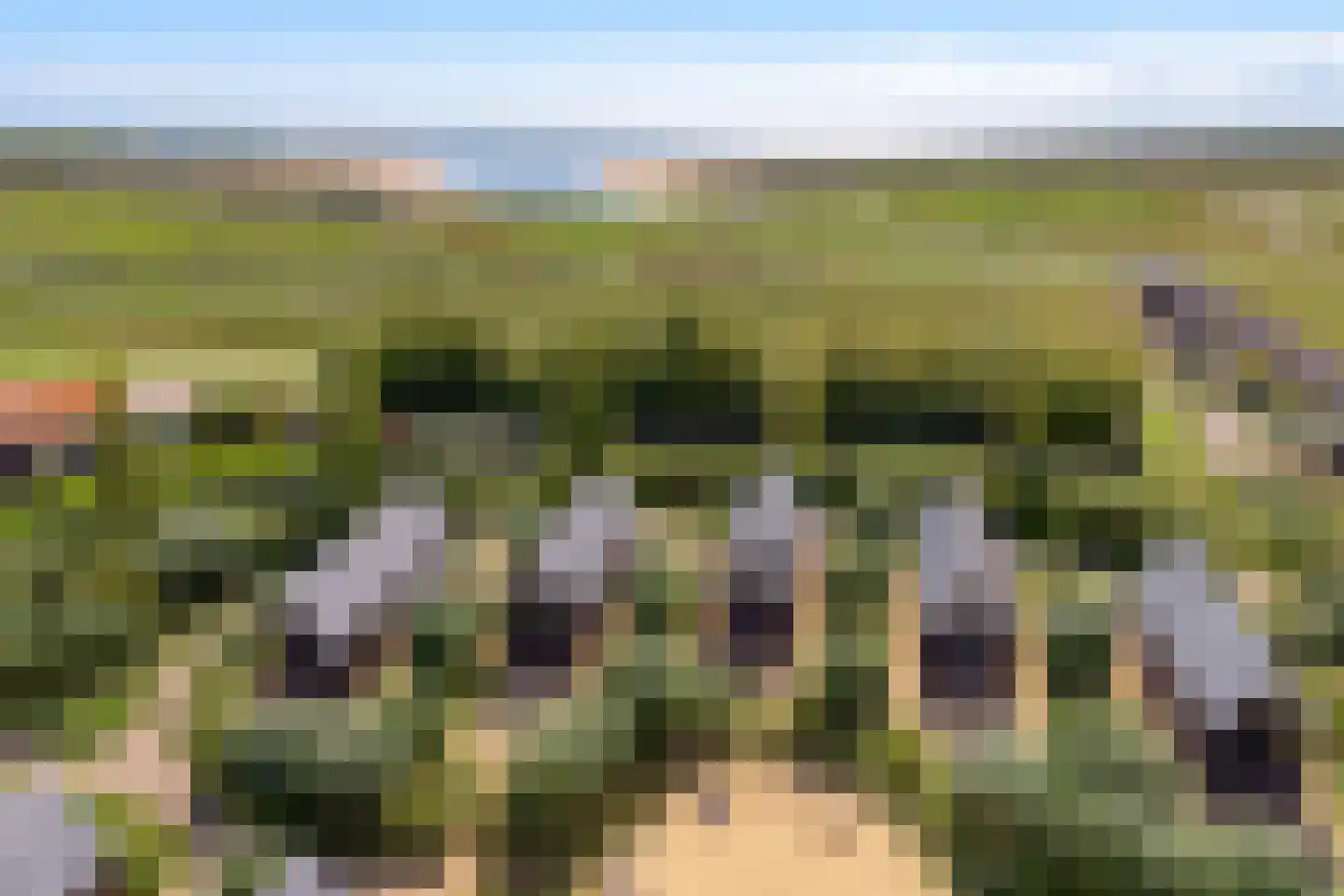 Zeedijk 24 009 Nieuwvliet thumbnail 20
