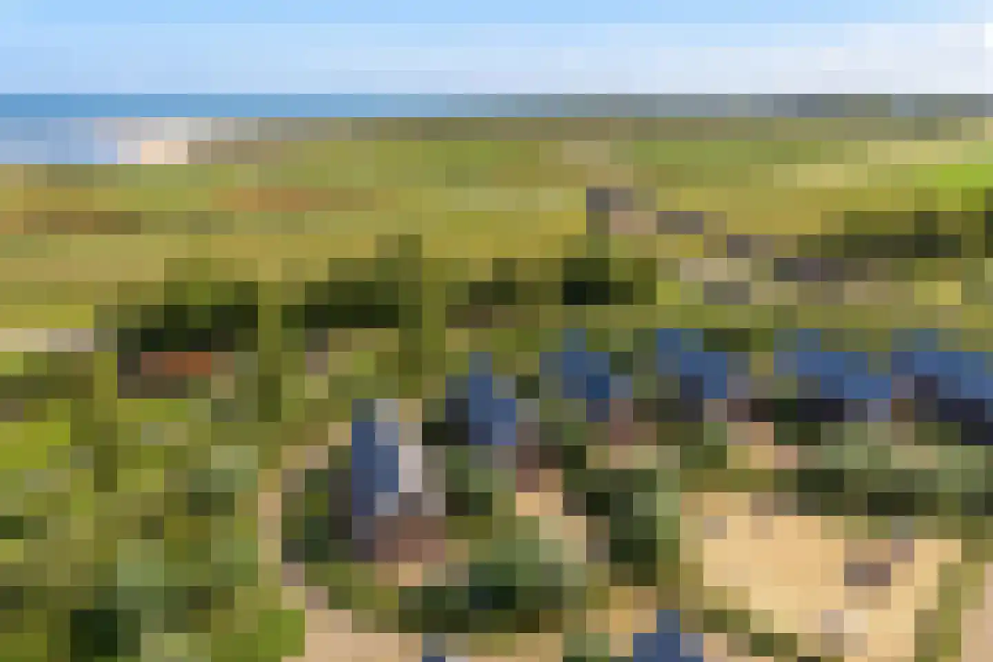 Zeedijk 24 009 Nieuwvliet thumbnail 21