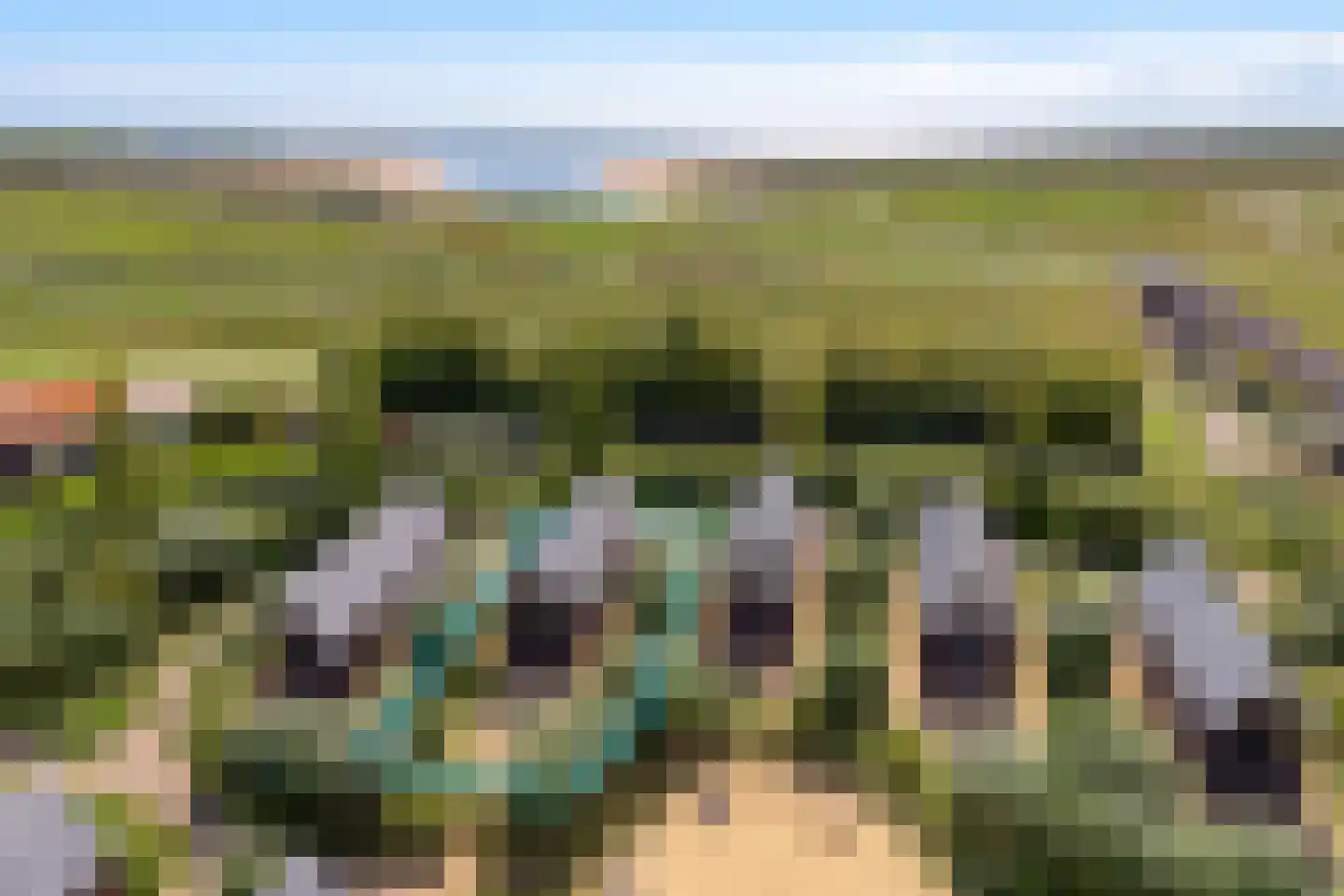 Zeedijk 24 009 Nieuwvliet thumbnail 4