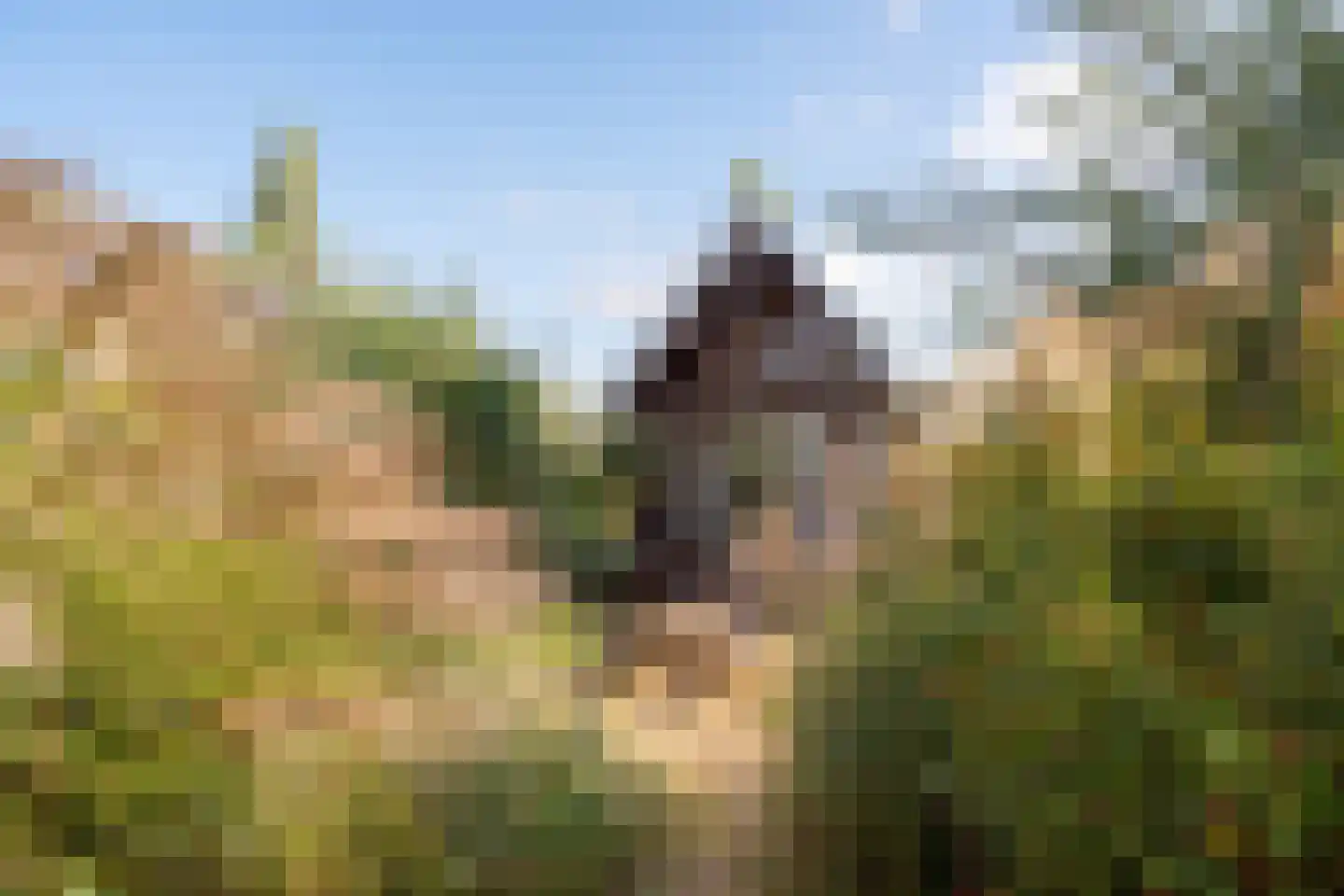 Zeedijk 24 009 Nieuwvliet thumbnail 8