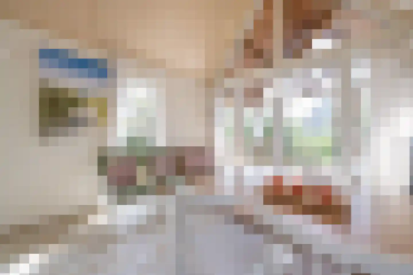 Zeedijk 24 011 Nieuwvliet thumbnail 11