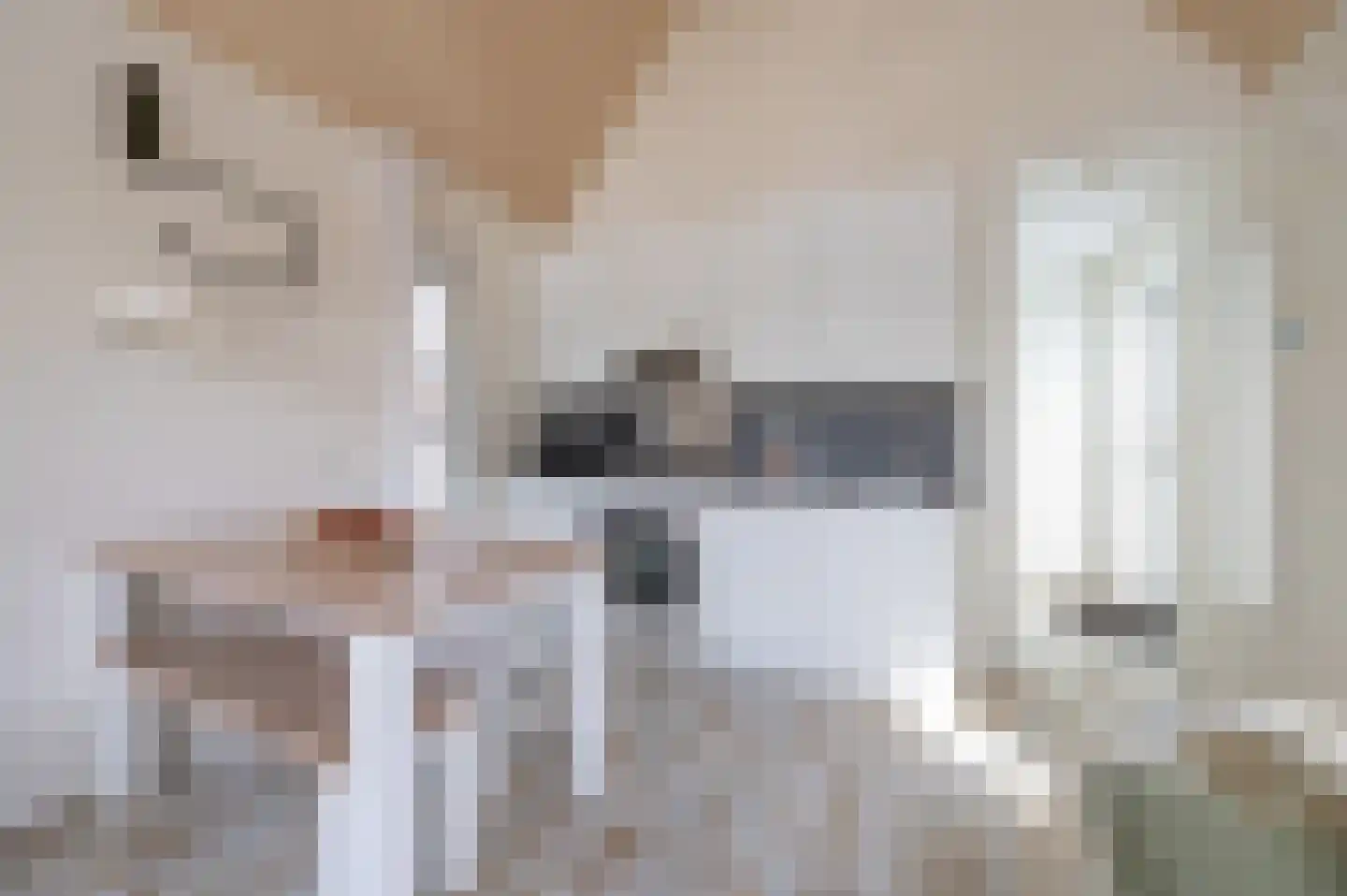 Zeedijk 24 011 Nieuwvliet thumbnail 12