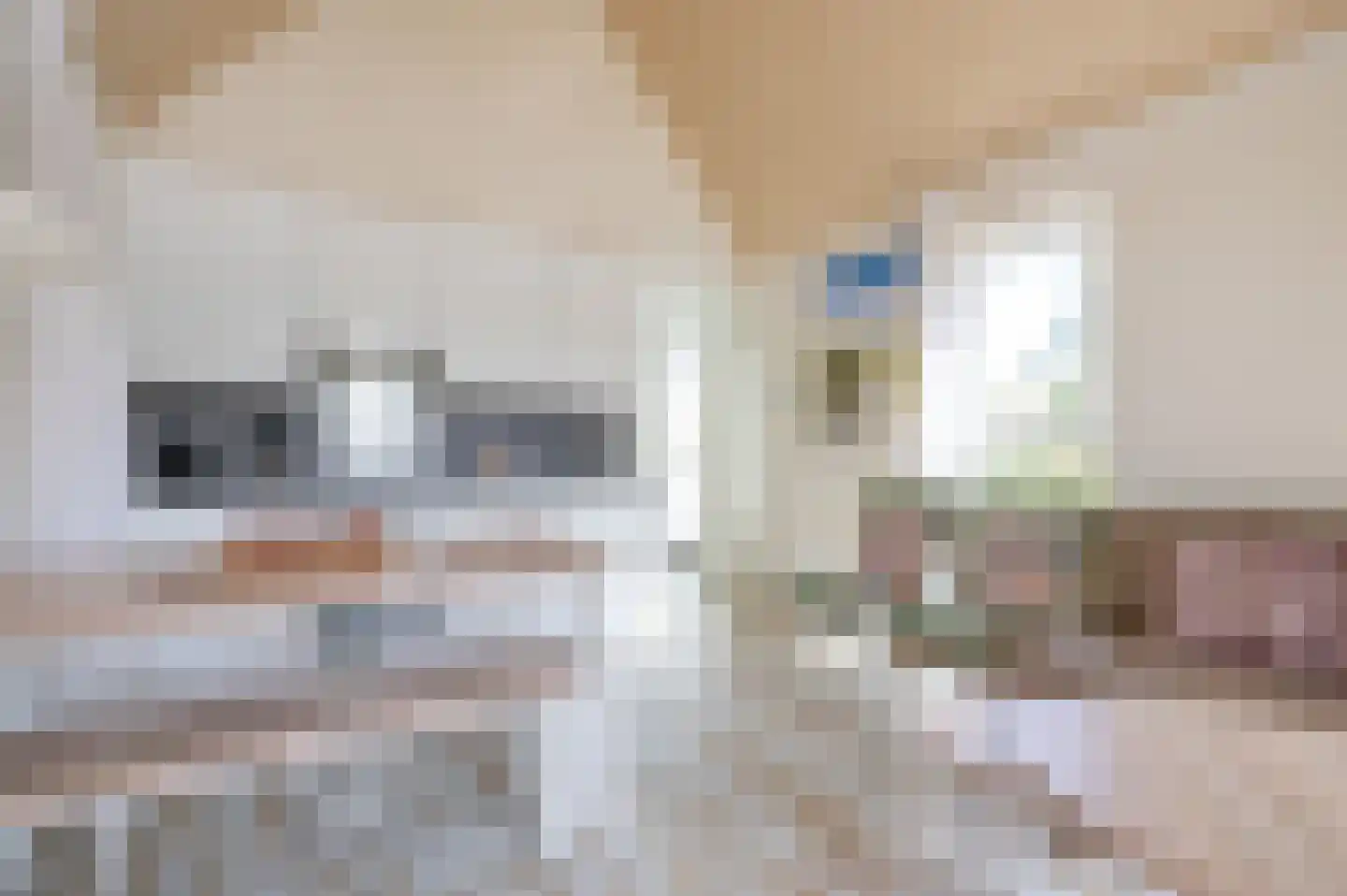 Zeedijk 24 011 Nieuwvliet thumbnail 13