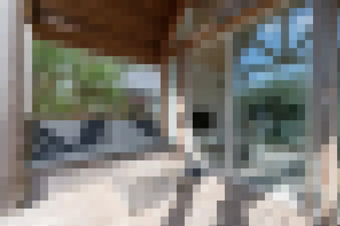 Zeedijk 24 011 Nieuwvliet thumbnail 6