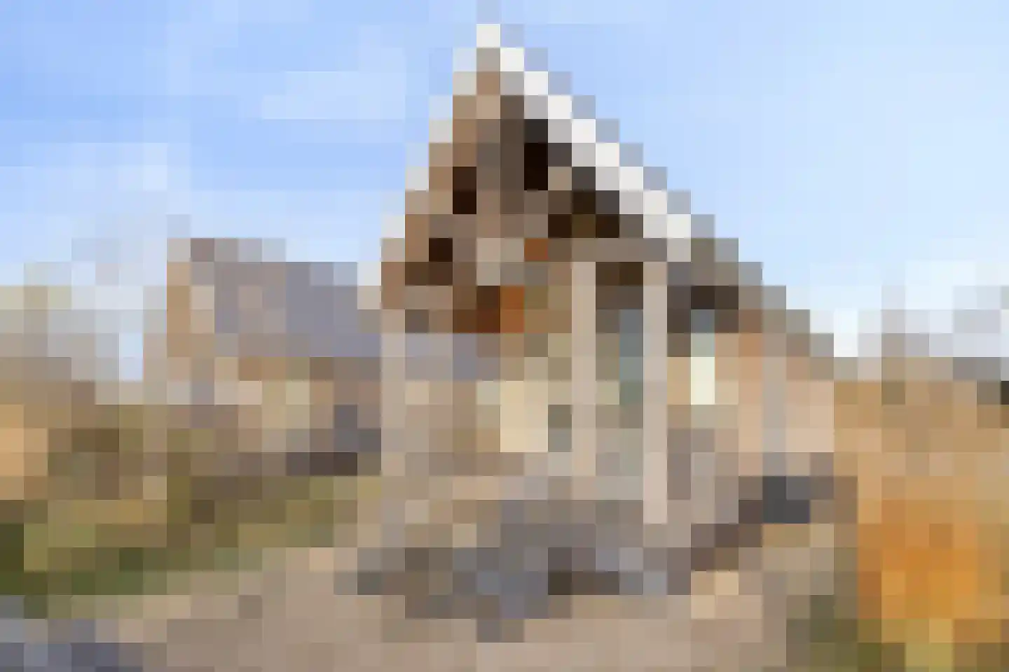 Zeedijk 24 014 Nieuwvliet thumbnail 15